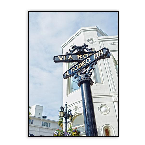 Rodeo Drive Set of 12 Framed Canvas Art Prints-abc