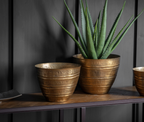 Loures Planter Antique Gold Medium (2pk)-abc