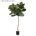 22m Fiddle Leaf Tree w/42 Lvs1-abc