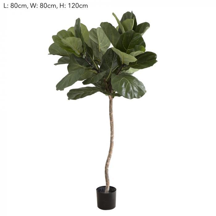22m Fiddle Leaf Tree w/42 Lvs1-abc