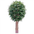 6.1M Giant Fat Ficus Liana 33792 Lvs-abc