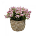 Pink Blushing Bride in Basket-abc