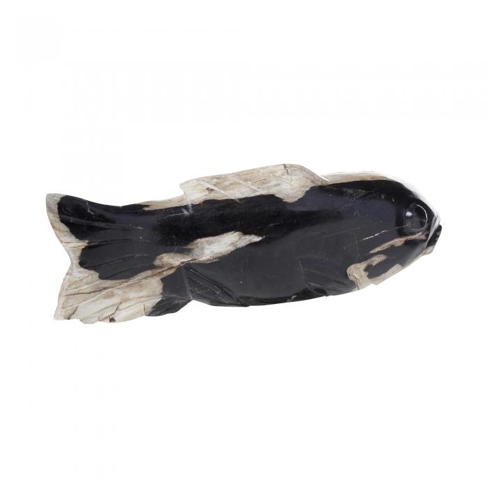 Binga Petrified Wood Fish Med-abc