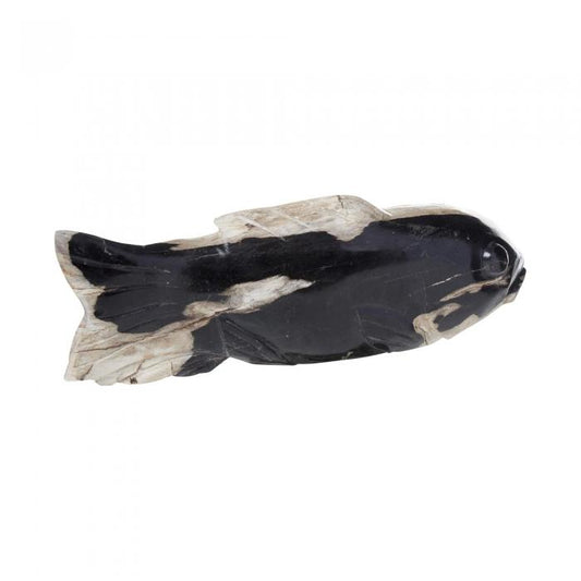 Binga Petrified Wood Fish Med-abc