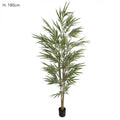 Bamboo Tree Natural Trunk 1.8m 774 Lvs-abc