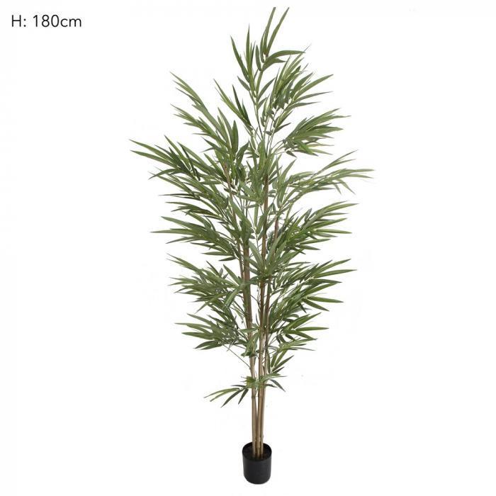 Bamboo Tree Natural Trunk 1.8m 774 Lvs-abc