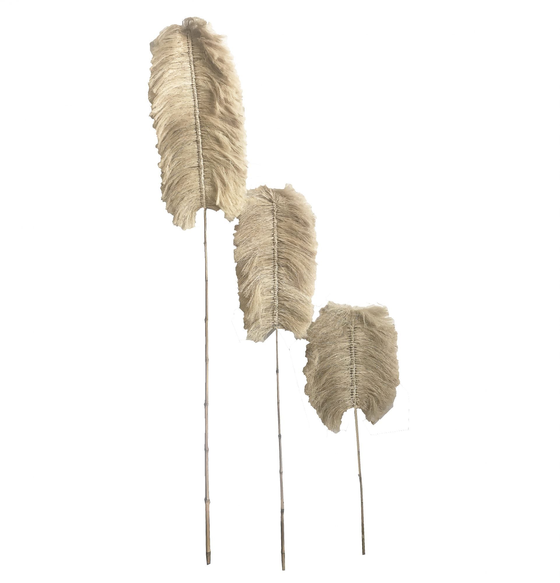 Bahama Fiber Leaf - 3 Pack-abc