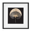 Fan Black on Black 52x52cm-abc