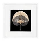 Fan Black on Black 52x52cm-abc
