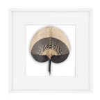 Fan Black on White 52x52cm-abc