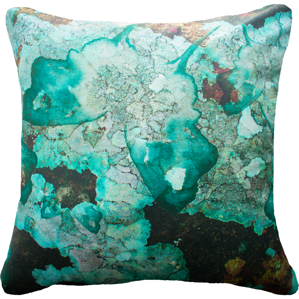 Bone Lichen Printed Euro Cushion 65 x 65cm-abc