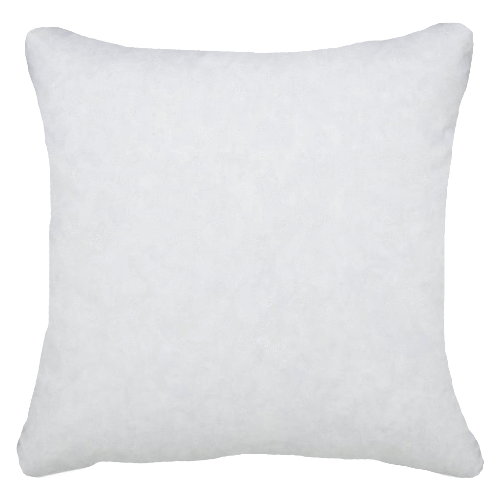 Feather Insert 20â x 20â - 50 x 50 cm-abc