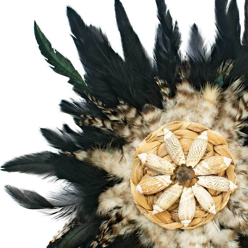 Feather Shell Black Juju Black Lounge Cushion 55 x 55cm-abc
