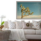 Antique Yucca-abc