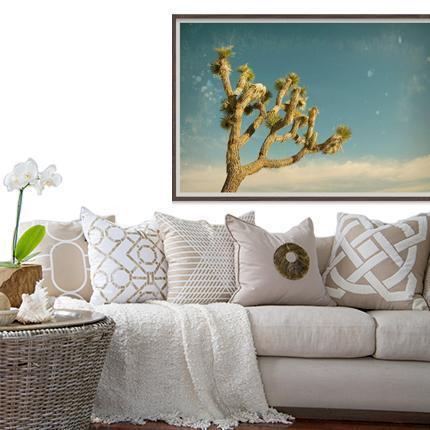 Antique Yucca-abc
