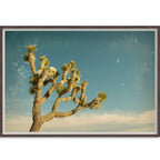 Antique Yucca-abc