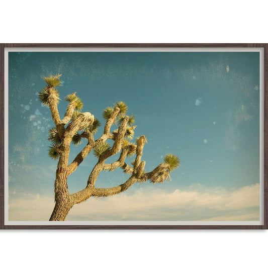 Antique Yucca-abc