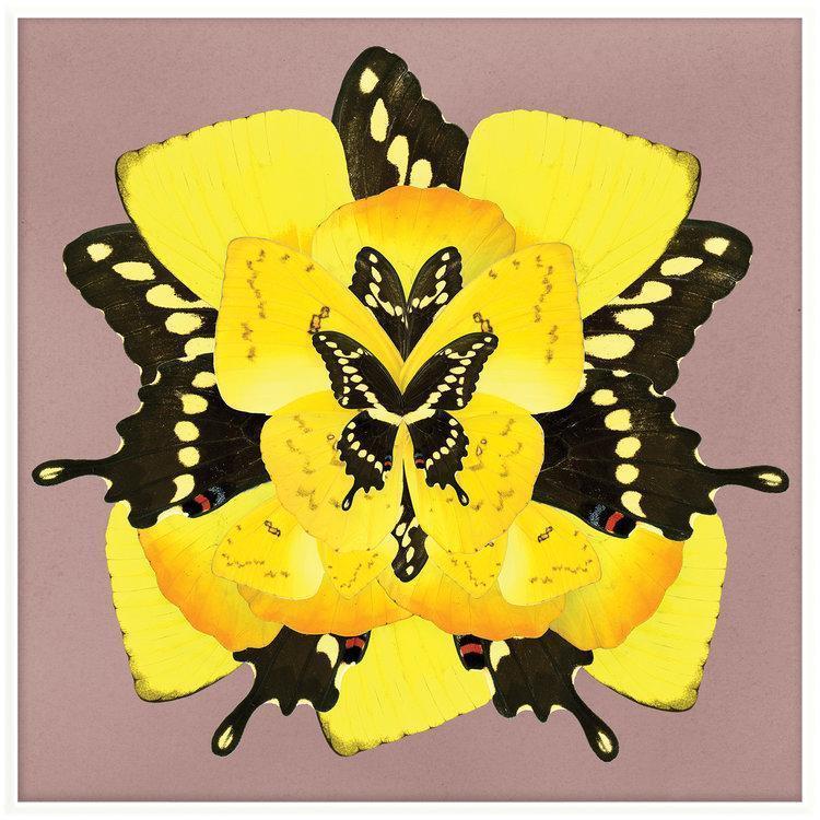Sunrise Wings Artwork-abc