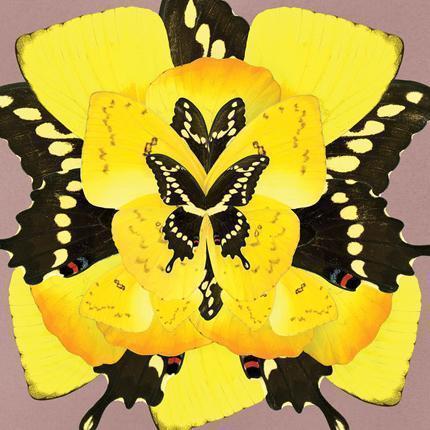 Sunrise Wings Artwork-abc