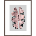 Victorian Shells 3-abc