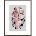 Victorian Shells 3-abc