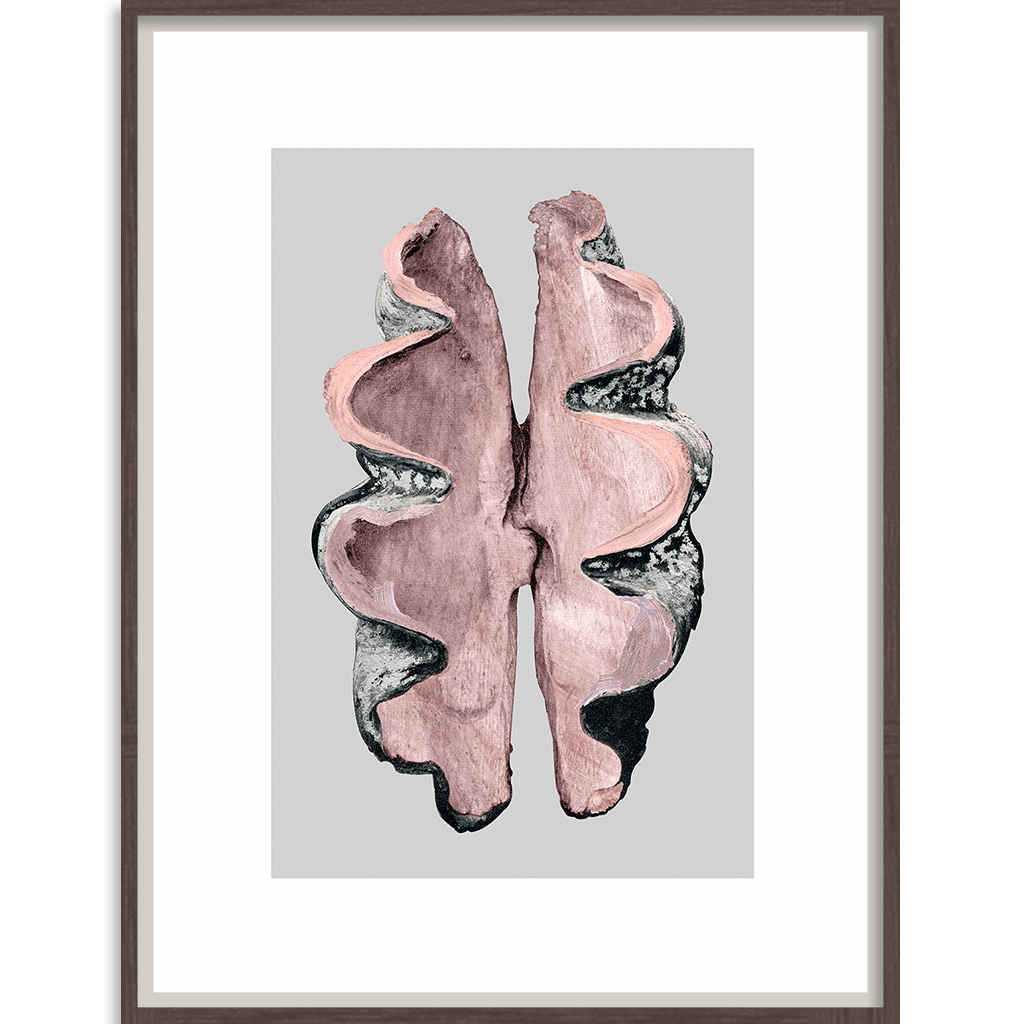 Victorian Shells 3-abc