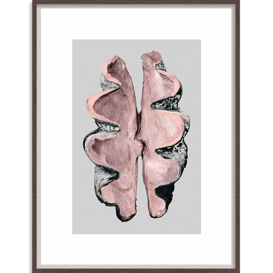 Victorian Shells 3-abc