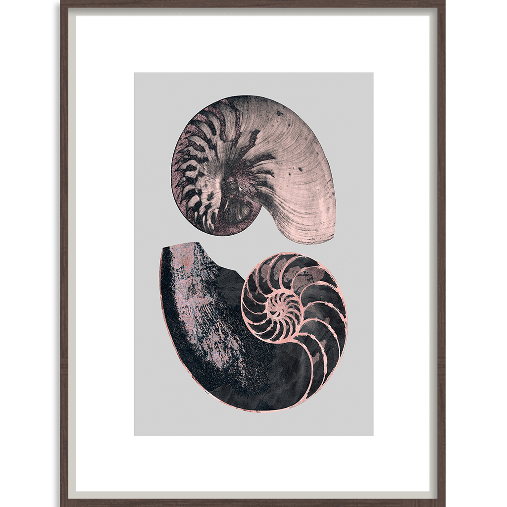 Victorian Shells 4-abc