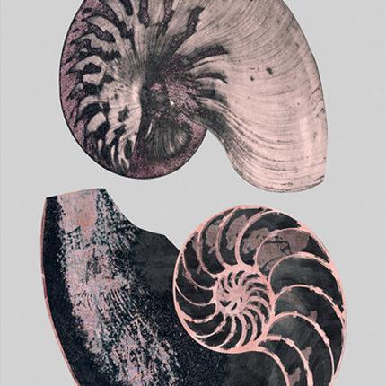Victorian Shells 4-abc