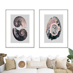 Victorian Shells 4-abc