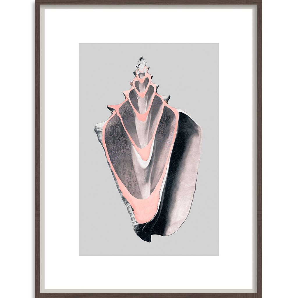 Victorian Shells - Wall Art - 101x101cm-abc