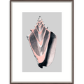 Victorian Shells - Wall Art - 76x115cm-abc