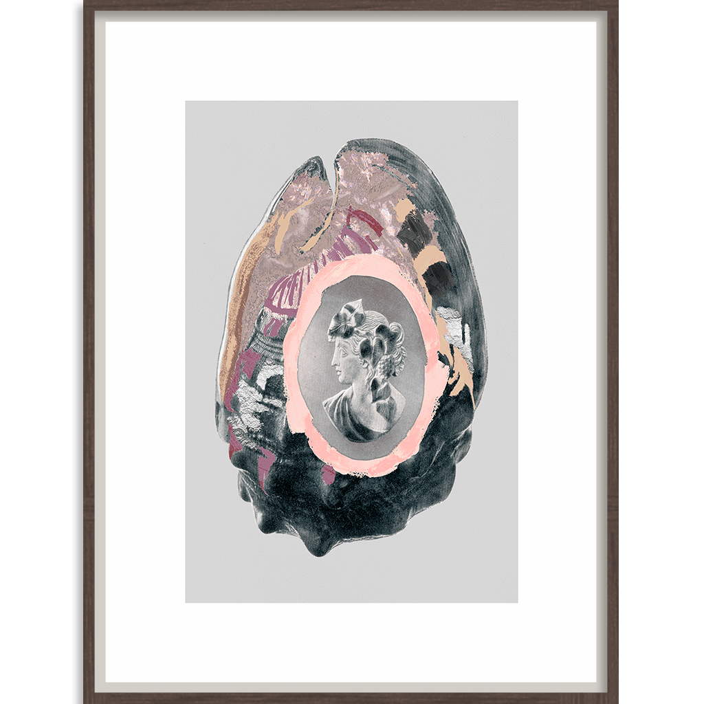 Victorian Shells-abc