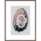 Victorian Shells-abc