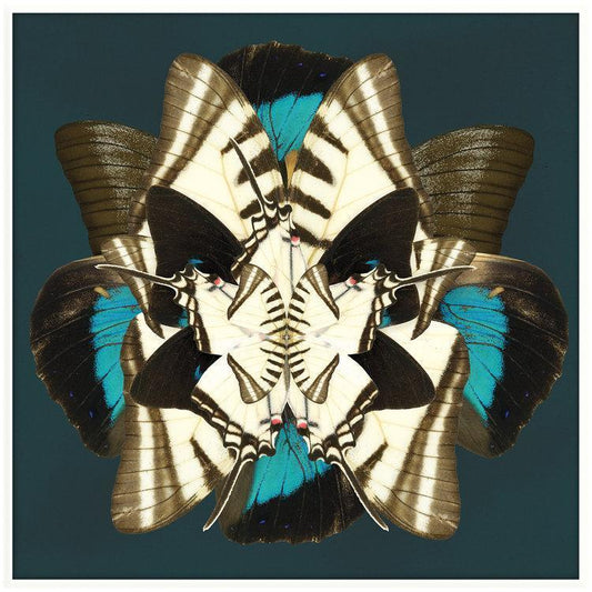 Winter Wings Artwork-abc