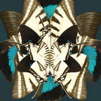 Winter Wings Artwork-abc