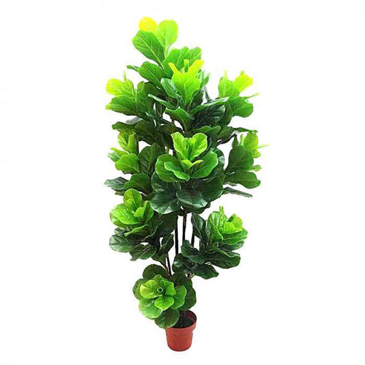 Fiddle Leaf Tree 1.75m-abc