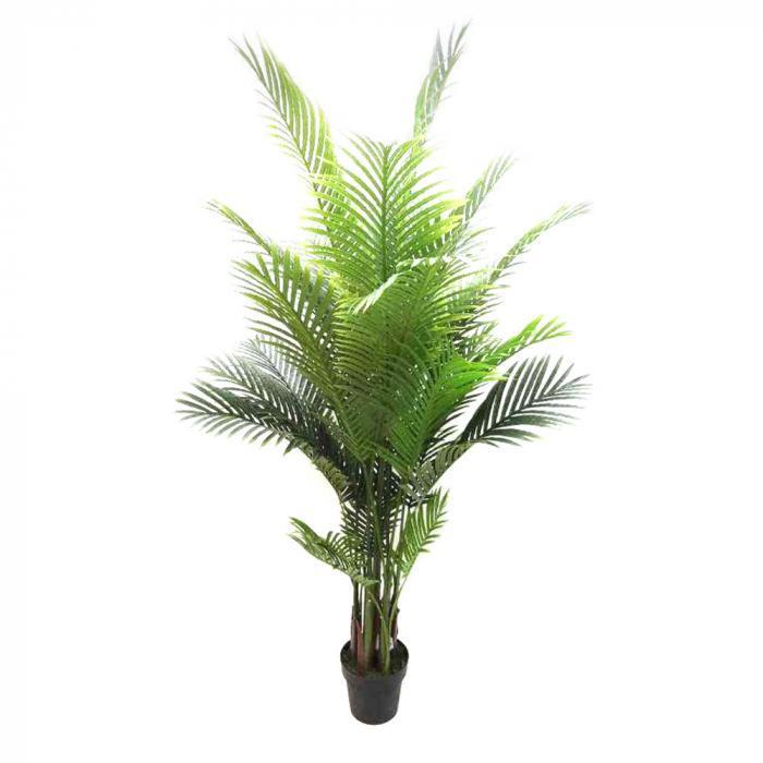 Areca Palm 1.7m Real Touch-abc