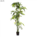 Parlour Palm 1.8m-abc