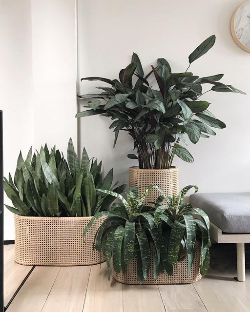 Beliz Rattan Planter Oval Large-abc