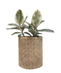 Beliz Rattan Planter Small-abc