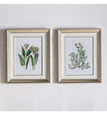 Botanical Spring I Framed Art Set of 2-abc
