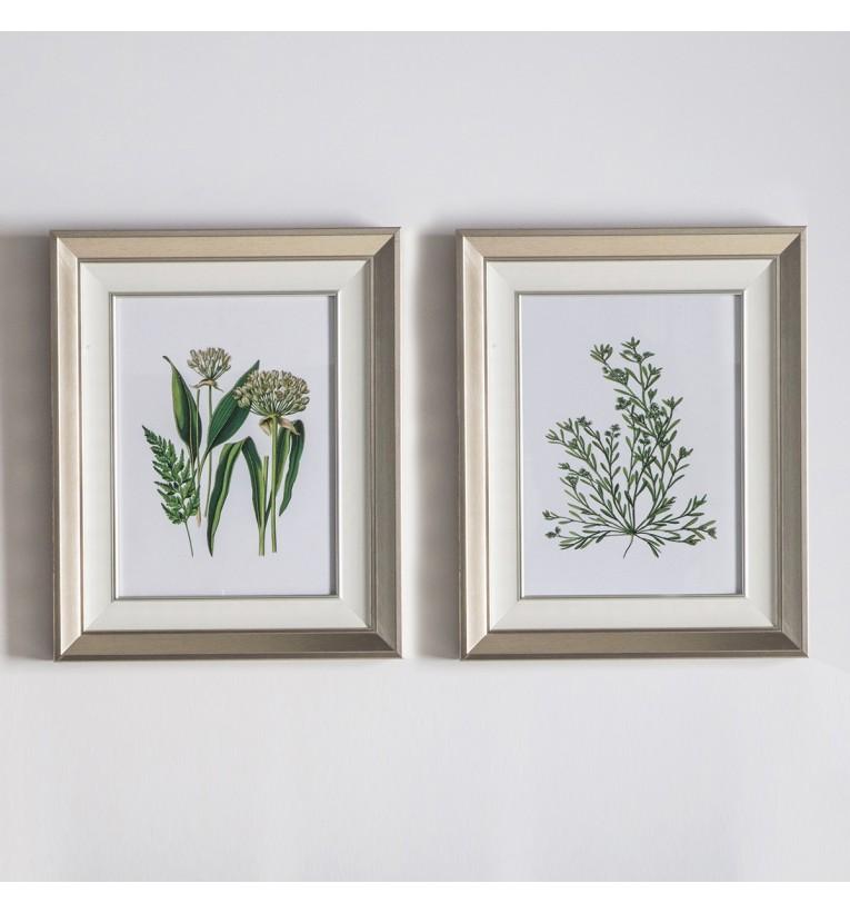 Botanical Spring I Framed Art Set of 2-abc