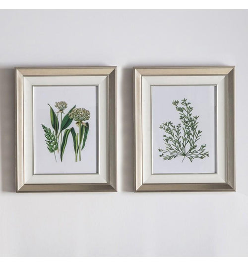 Botanical Spring I Framed Art Set of 2-abc
