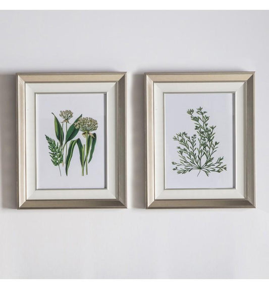 Botanical Spring I Framed Art Set of 2-abc