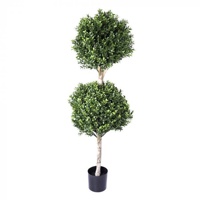 Boxwood Double Ball Tree 1.1m (re B35)-abc