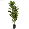 133cm Fiddle Leaf Tree w/59 Lvs !@! 11-abc