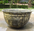 Trang Planter-abc