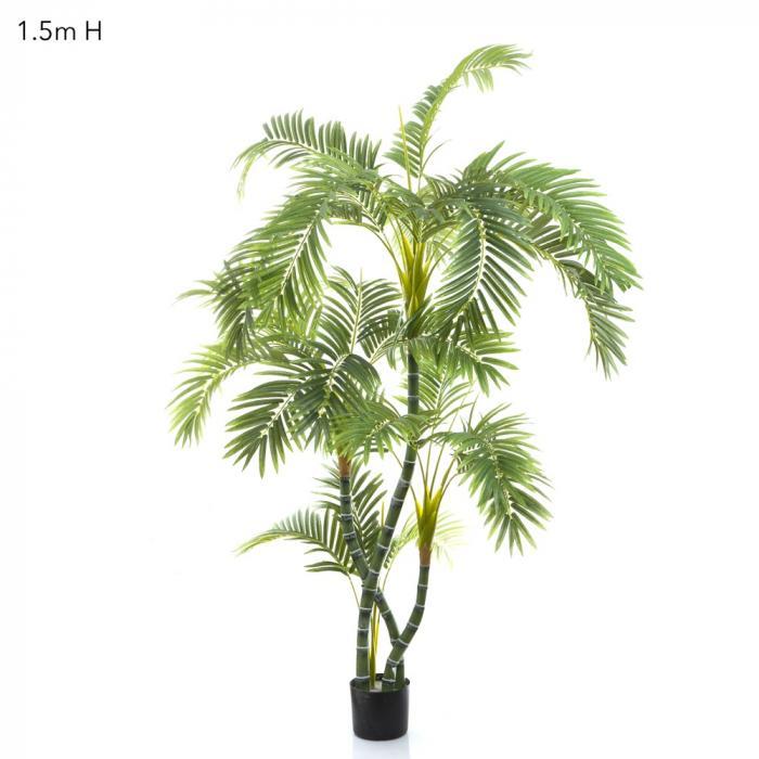 Parlour Palm Twisted Trunk 1.5m-abc