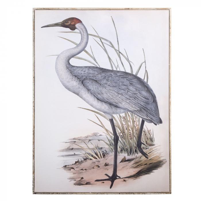 Framed Wild Crane 113x83x3.5-abc